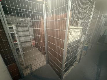 JA, zur 2-Zimmer-Eigentumswohnung mit Balkon und Stellplatz in ruhiger Lage von Solingen-Mitte! – Bild: 23362