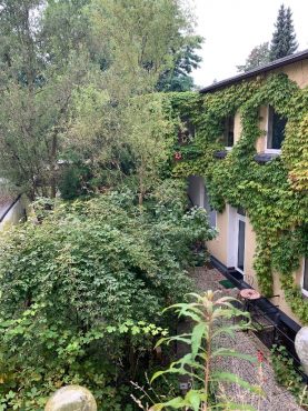 JA, zur frisch renovierten 3-Zimmer-Wohnung in zentraler Lage von Solingen-Mitte! – Bild: 23330