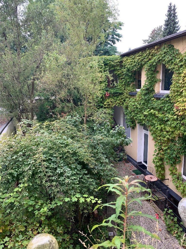 JA, zur frisch renovierten 3-Zimmer-Wohnung in zentraler Lage von Solingen-Mitte! – Bild: 23330