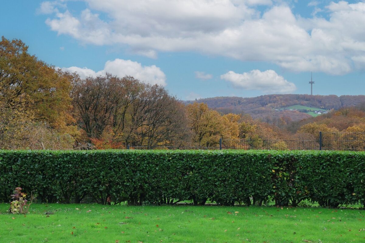 JA, zur Penthouse-Alternative mit Garage, Außenstellplätzen und Garten … OHNE Käuferprovision! – Bild: 24070
